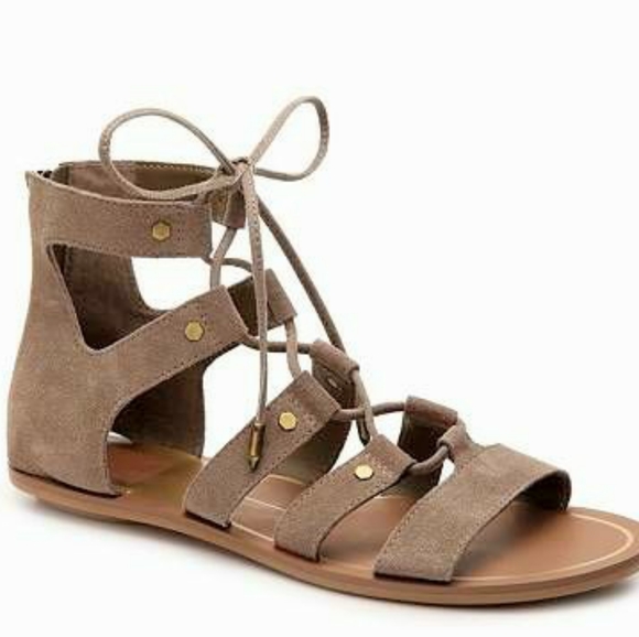 Dolce Vita Shoes - Dolce Vita VENA Almond Suede Gladiator Sandal